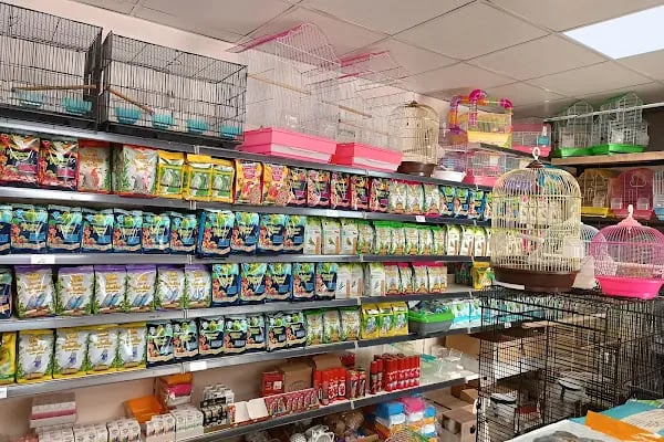 Mirvona Petshop Konya - Resim 18