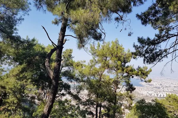 Teleferik Kır Bahçesi - Resim 9