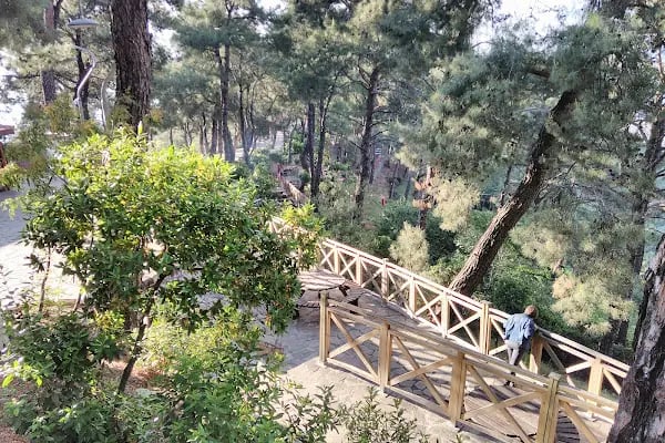 Teleferik Kır Bahçesi - Resim 15