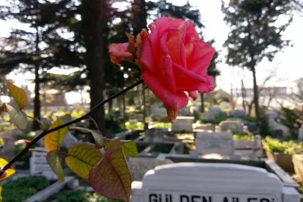 Çamlık Mezarlığı - Resim 10
