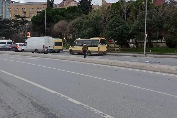 Çamlık Mezarlığı - Resim 12