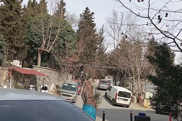 Çamlık Mezarlığı - Resim 6