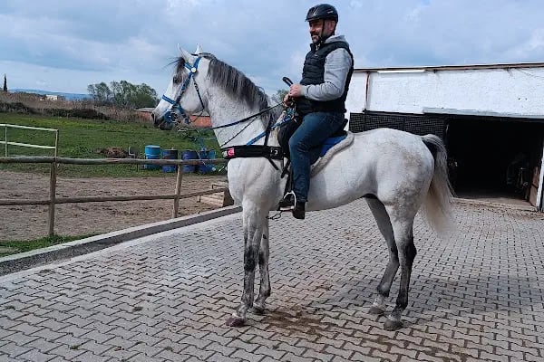 Manisa Atlı Spor Kulubü - Resim 11