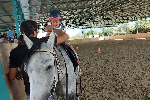 Manisa Atlı Spor Kulubü - Resim 2