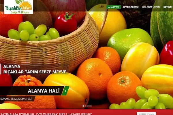 Alanya Tekno Servis Web Tasarım Ajansı - Resim 14