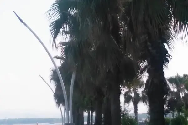 Başiskele sahil bisiklet - Resim 12