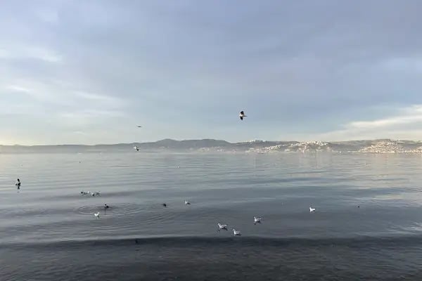 Başiskele sahil bisiklet - Resim 1