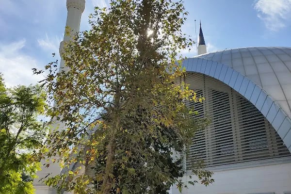 Döşemealtı Merkez Camii - Resim 3