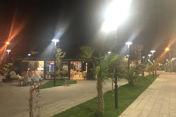 Altaş Zeytin Bahçe - Resim 9