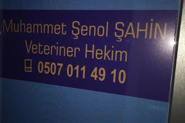 Zoo Island Veteriner Kliniği - Resim 2