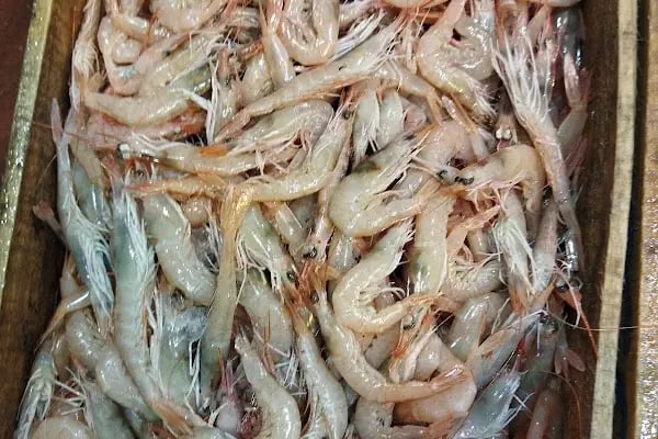 Demre Av Market - Resim 13