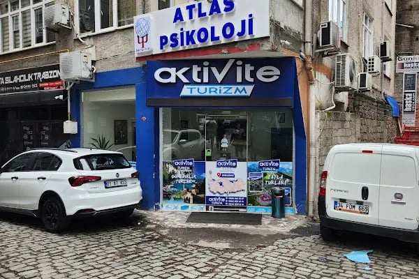 Doç. Dr. Çilem Bilginer, Trabzon Çocuk ve Ergen Psikiyatrisi &amp; Psikoterapist - Resim 4