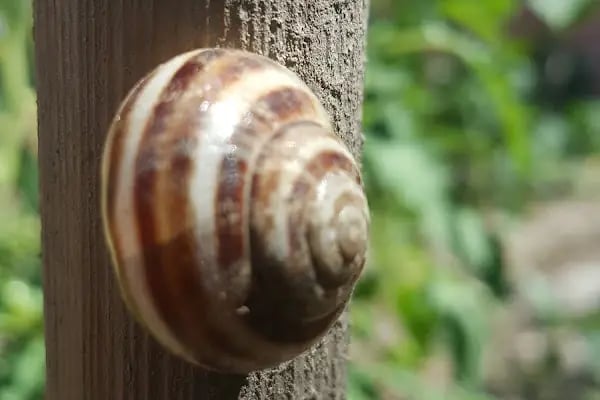 Gençlik Parkı - Resim 15
