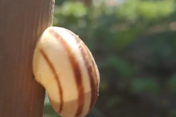 Gençlik Parkı - Resim 9