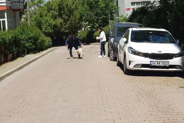 Yıldız Sitesi - Resim 7