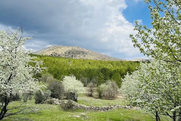 Kelebekler Vadisi Tabiat Parkı - Resim 15