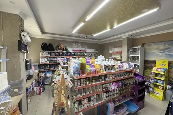 Hanedan Petshop - Resim 2