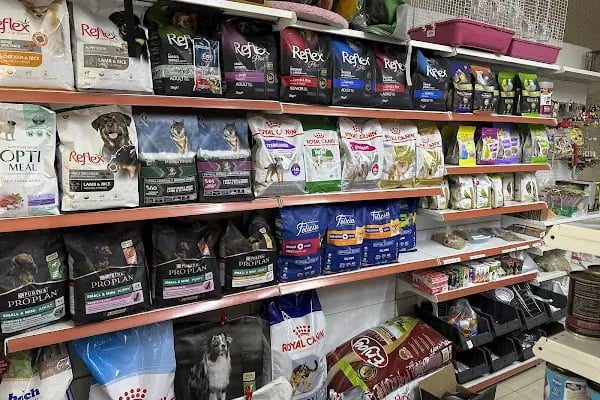 Hanedan Petshop - Resim 6