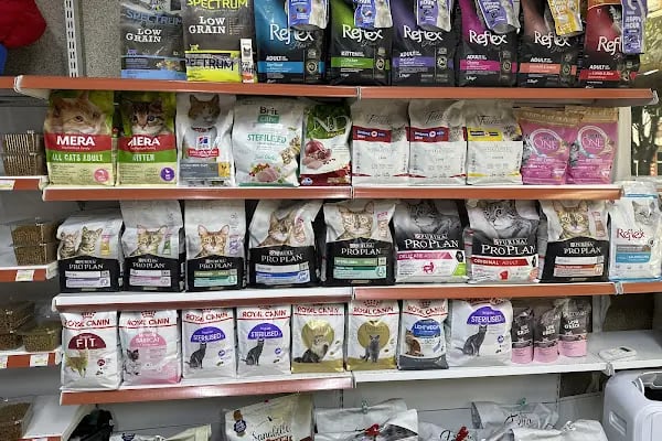 Hanedan Petshop - Resim 7