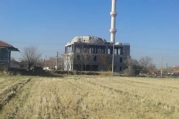 Sanırtol Cami - Resim 4