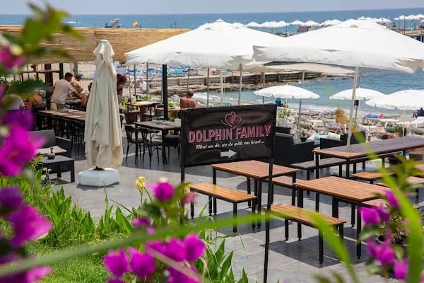 Dolphin Family Otel - Resim 8