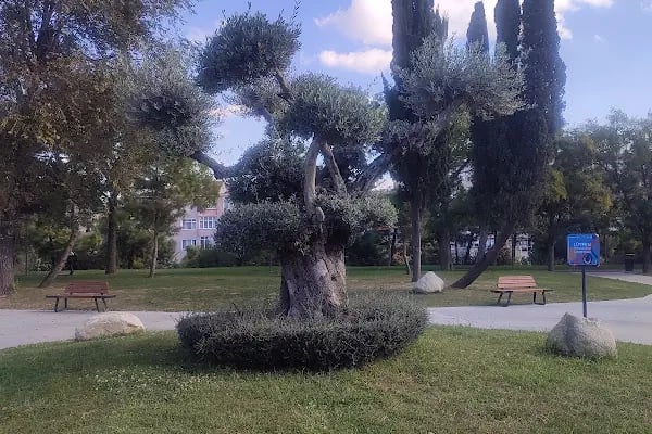 Şelale Parkı Koşu Parkuru - Resim 2