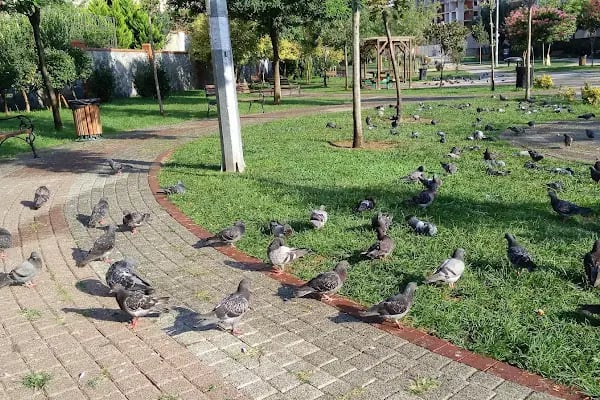 İsmet İnönü Parkı - Resim 6