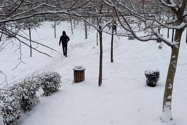 İsmet İnönü Parkı - Resim 17