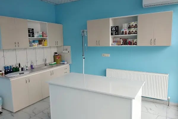 Venüs Veteriner Kliniği - Resim 2