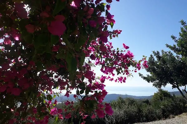 Arif’in Yeri Demre Camping - Resim 10
