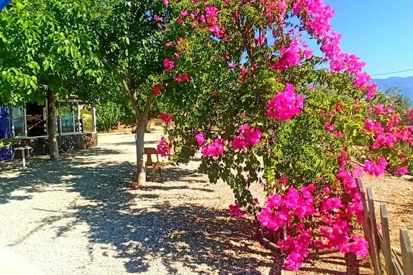 Arif’in Yeri Demre Camping - Resim 12