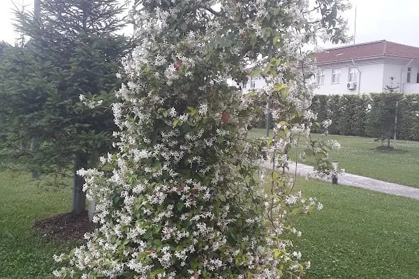 Sakarya 1. Organize Sanayi Bölgesi Bölge Müdürlüğü - Resim 17