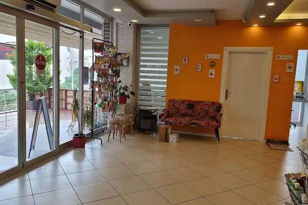 AYIŞIĞI VETERİNER KLİNİĞİ &amp; ARTEMİS VETERİNER KLİNİĞİ - Resim 3