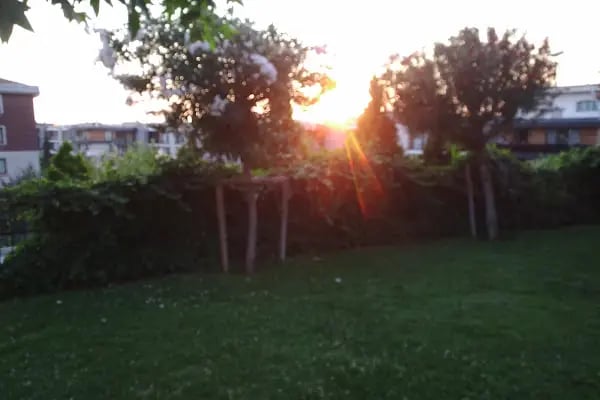 Şehit Er Gürol Alpago - Resim 10