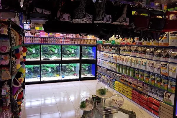 Coco's Pet Kuaför &amp; Pet Butik - Resim 5