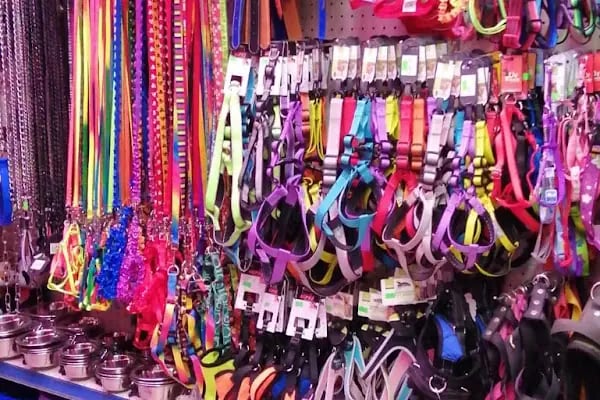 Coco's Pet Kuaför &amp; Pet Butik - Resim 12