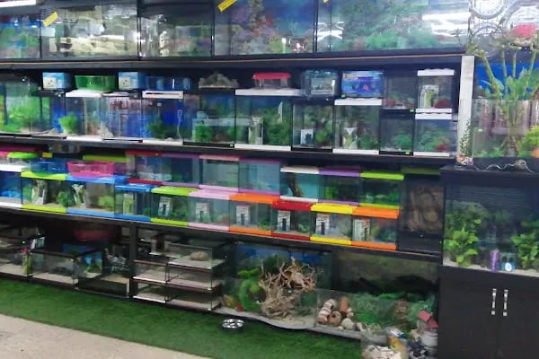 Coco's Pet Kuaför &amp; Pet Butik - Resim 19