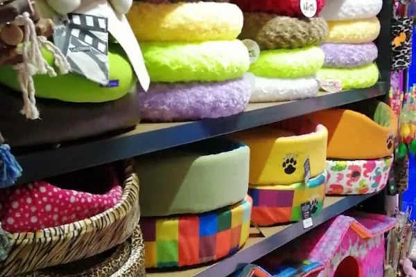 Coco's Pet Kuaför &amp; Pet Butik - Resim 10