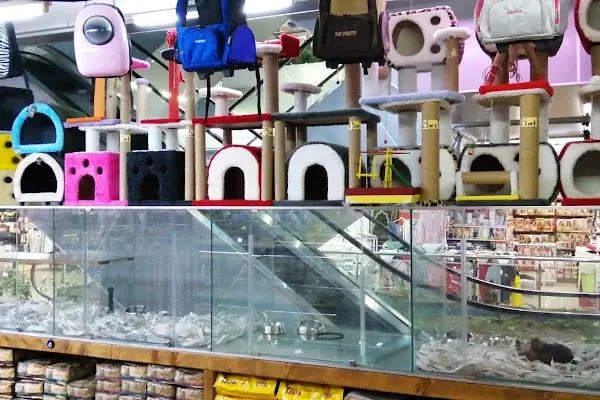 Coco's Pet Kuaför &amp; Pet Butik - Resim 18