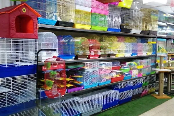 Coco's Pet Kuaför &amp; Pet Butik - Resim 7