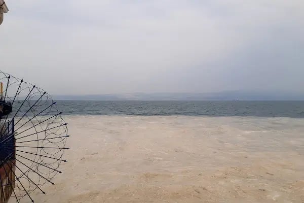 Karamürsel Vapur İskelesi - Resim 20