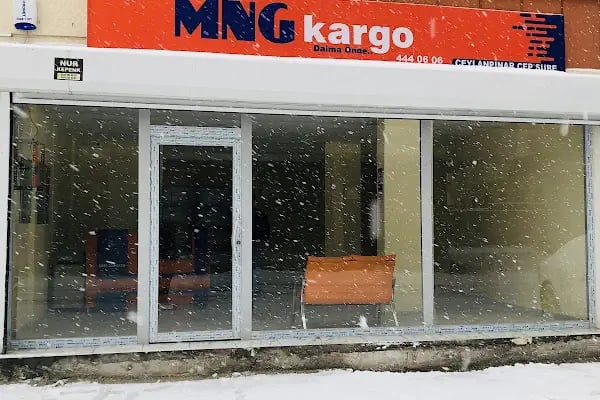 Mng Kargo - Ceylanpınar Cep - Resim 3