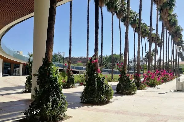 Expo 2016 Antalya Büyük Amfi Tiyatro - Resim 7
