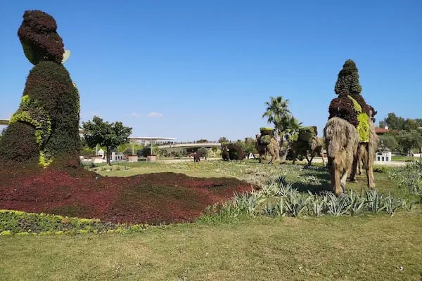 Expo 2016 Antalya Büyük Amfi Tiyatro - Resim 4