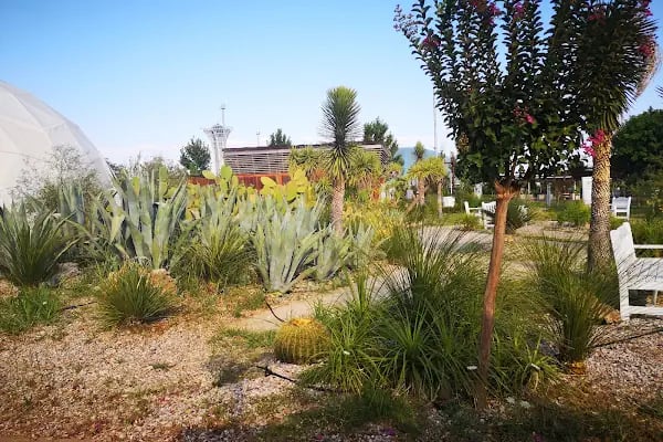 Expo 2016 Antalya Büyük Amfi Tiyatro - Resim 15