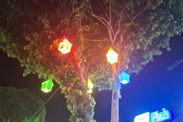 Robin Hood Night Club - Resim 9