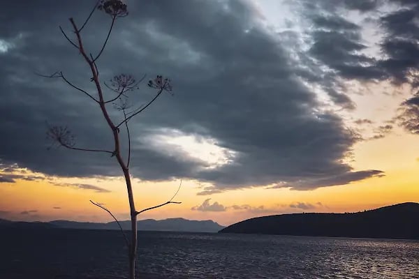 İasos İlyas Camping - Resim 10