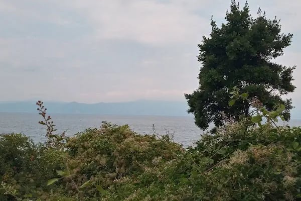 Ptt-kurşunlu Şubesi - Resim 1
