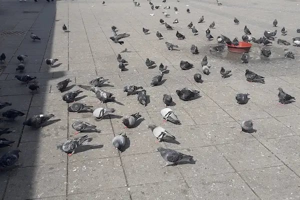 Aksaray Metro İstasyonu - Resim 13