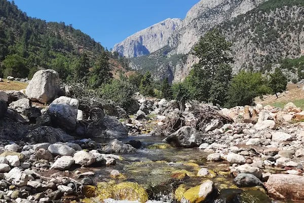 Aladağlar Milli Parkı İdare ve Ziyaretçi Tanıtım Binası - Resim 11